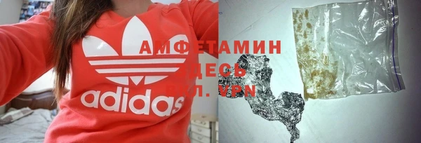 сатива Балахна