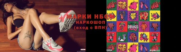 сатива Балахна