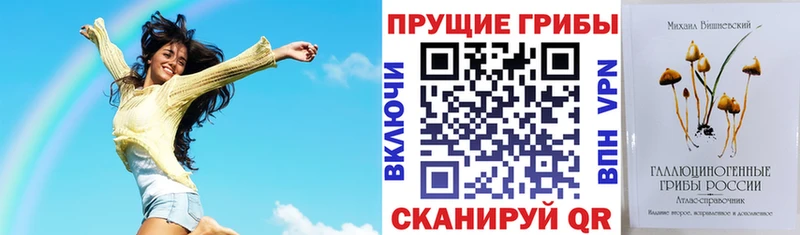 Купить закладки  Кущёвская  Псилоцибиновые грибы Psilocybine cubensis 